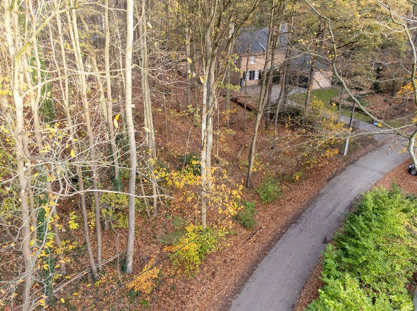 Terrain à vendre
                    à 3210 Linden