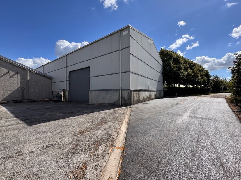Op een vlot bereikbare bedrijvenzone langs de Industrieweg in Zwevezele ligt deze ruime en functionele magazijnruimte van +/- 1.165 m². De locatie gen