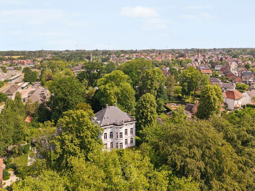Verscholen in het groen van de statige Kasteeldreef in Temse ligt een uitzonderlijke eigendom dat zelden op de markt verschijnt. Het iconische Kasteel