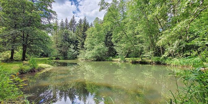 Terrain à vendre à Rue du Lary, 6750 Mussy-la-Ville