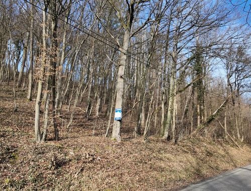                                         Terrain à vendre à Bomal-sur-Ourthe, € 99.000
