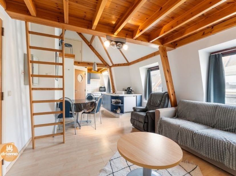 Studio au dernier étage de la perle du patrimoine "Hôtel du Sablon" adjacent au pittoresque quartier Dumont rénové, à quelques pas de la mer.<br />
DE