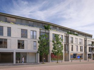 COMMERCIAL Image