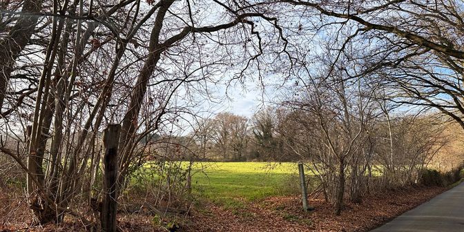 Terrain à vendre à Wolfstraat, 3580 Beringen