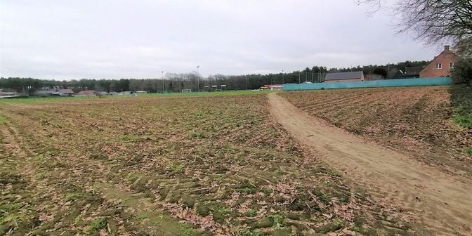 Grond te koop in Bocholterweg, 3990 Grote-Brogel