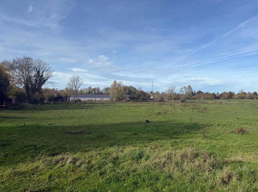 Superbe terrain de plusieurs parcelles constructibles<br />
Nous vous présentons ce magnifique terrain à vendre composé de plusieurs parcelles constru