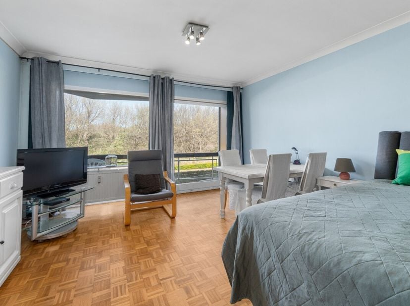 strong&amp;gt;Blankenberge: Instapklare studio met ruim terras en duinenzicht te koop! Deze instapklare studio met duinenzicht te koop in de A. Ruzettelaa