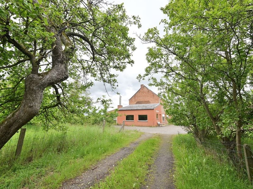 Op een uitzonderlijk perceel van 4 hectare 63 are 90 centiare bevindt zich deze authentieke hoeve met schuur, stallingen en diverse bijgebouwen, midde