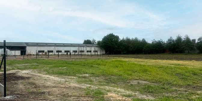 Terrain à vendre à Ruiseledesteenweg 43, 8750 Wingene