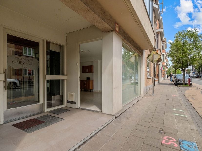 Op het gelijkvloers van Residentie Guido Gezelle, pal in het centrum van Deinze, bevindt zich dit ruime appartement van circa 115 m² met bijzonder vee