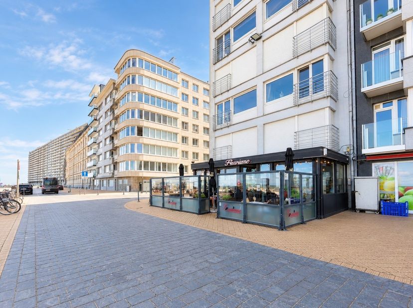 Bien professionnel à vendre à Zeedijk 105,
                    8400 Oostende
