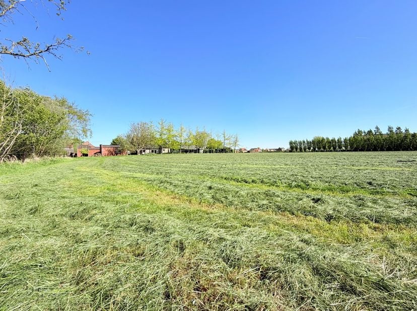 Maison à vendre à Zuidstraat 266,
                    8480 Ichtegem