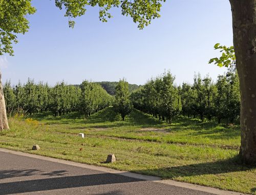                                         Bouwgrond te koop in Hasselt, € 660.000
