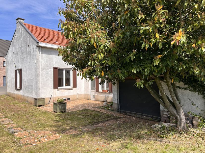 Maison à vendre
                    à 3212 Pellenberg