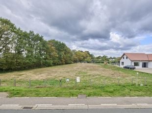 PLOT Image