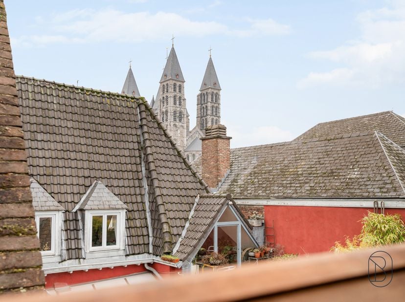 Te koop: grote woning met potentieel in centrum Doornik<br />
In het autovrije hart van Doornik bevindt zich deze leuke gezinswoning met twee onafhank
