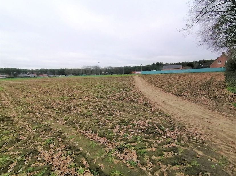 Terrain à vendre
                    à 3990 Grote-Brogel