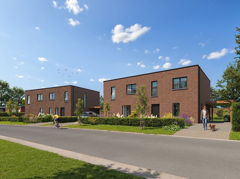 Project te koop in Waaiberglaan 5-6,
                    8700 Tielt