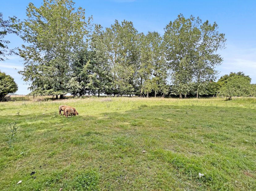 Grond te koop
                    in 1325 Corroy-le-Grand