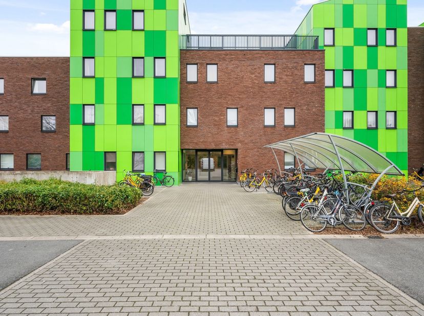 Deze instapklare studentenkamer is gelegen op wandelafstand van de hogeschool vives en vlakbij het centrum van Brugge.<br />
De indeling is als volgt: