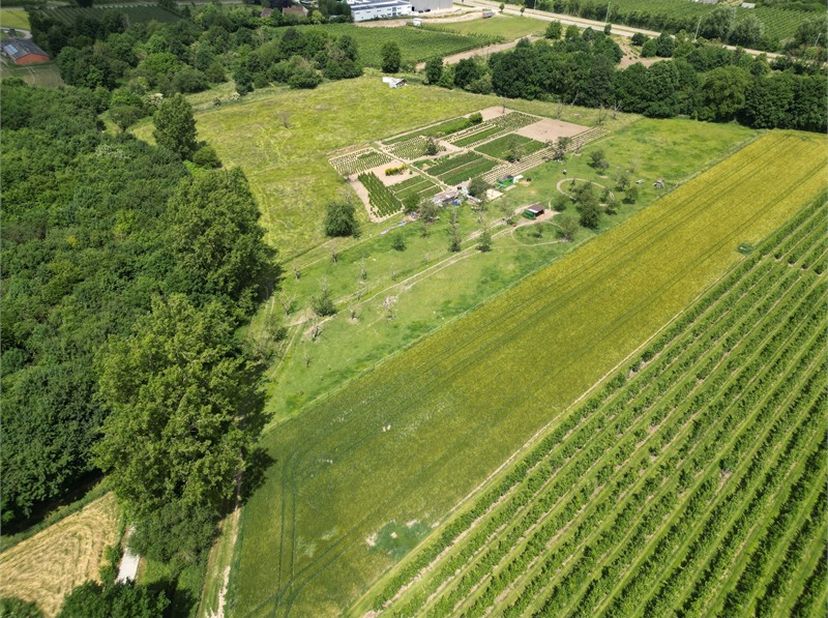 Terrain à vendre
                    à 3800 Ordingen