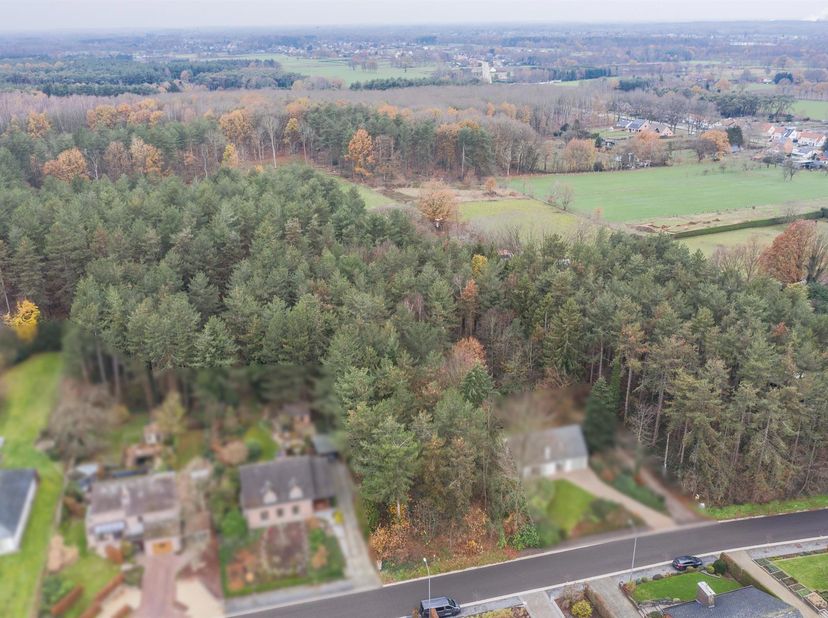 Deze bouwgrond gelegen in de Hommelbeek is de uitgelezen kans voor een gezin met kinderen of voor wie graag in alle stilte centraal wil genieten.<br /