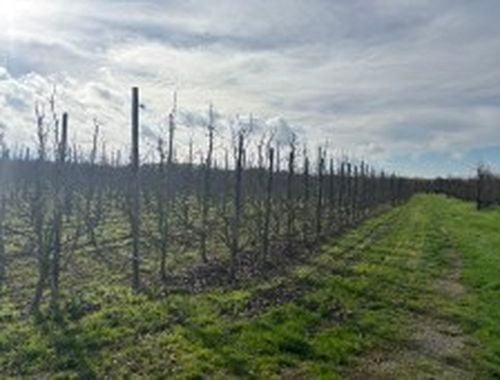                                         Grond te koop in Wilderen, € 19.000
