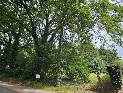                                         Bouwgrond te koop in Genk, € 209.000
