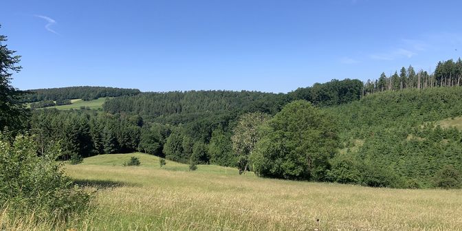 Terrain à vendre à Rue des Combattants (lot 7), 6997 Érezée