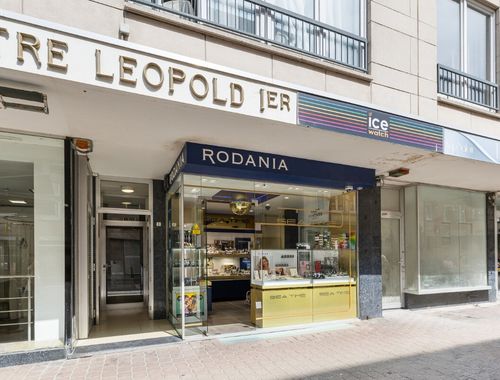                                         Handelsgelijkvloers te koop in De Panne, € 95.000
