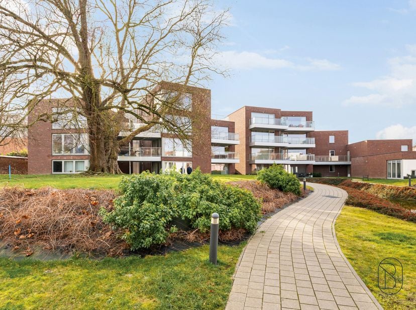 Appartement te koop
                    in 9600 Ronse