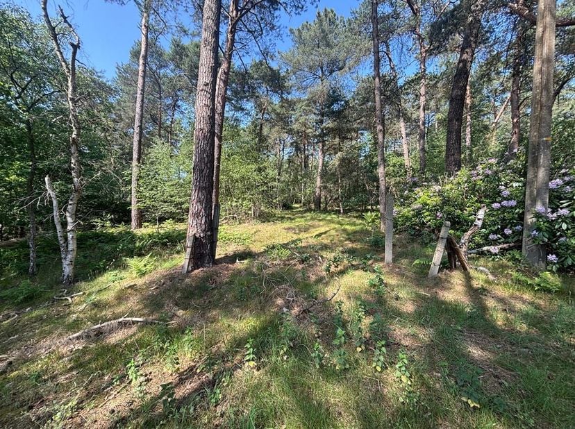 2 bois d'une superficie totale de 49a 90ca à Meerhout<br />
Situation : Situé dans un quartier vert et calme à Meerhout<br />
Description : 2 terrains