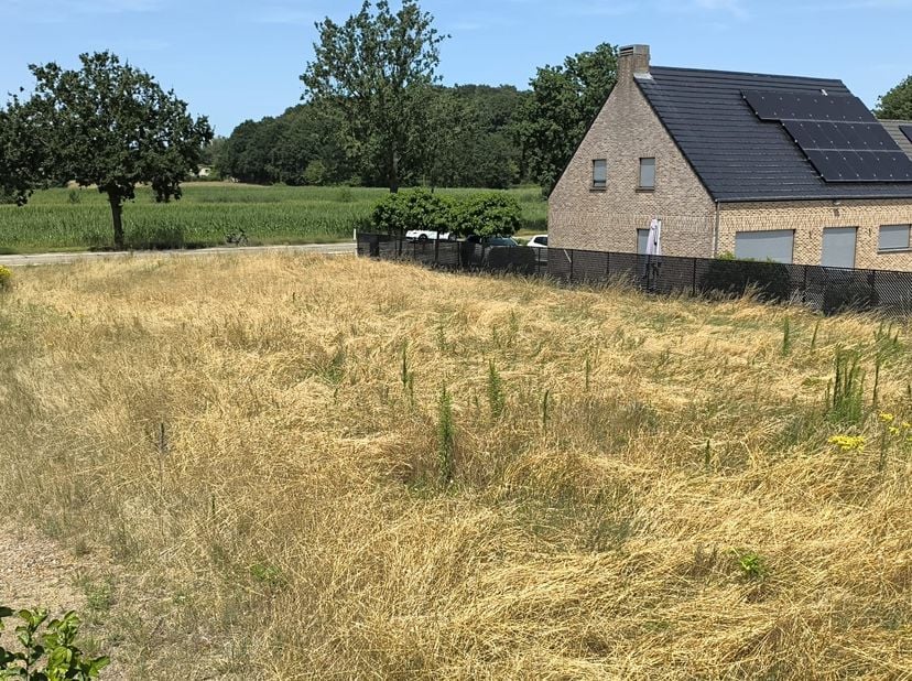 Particulier verkoopt deze mooie en uiterst goed gelegen BOUWGROND LOT 4 (voor open bebouwing) in Schaffen bij Diest (baan Schaffen – Paal). Naast zijn