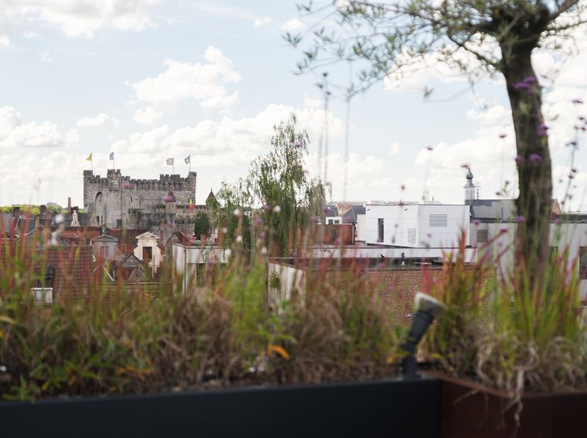 Appartement te koop in Hoogpoort 41 bus E,
                    9000 Gent