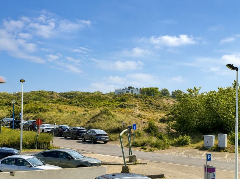 Dit appartement werd volledig gerenoveerd en ligt vlak bij het strand en de duinen.&amp;nbsp; Indeling: inkomhal met toilet, volledig ingerichte keuken, e