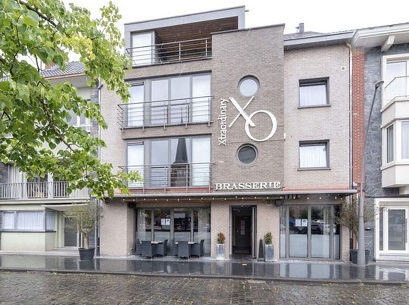 Bien professionnel à vendre
                    à 3590 Diepenbeek