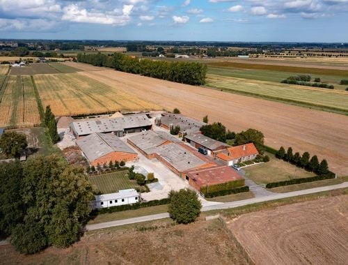                             Ferme à vendre à Kaprijke
