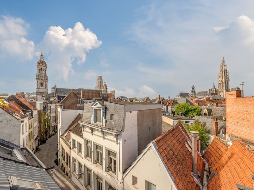 Bedrijfsvastgoed te koop in Minderbroedersrui 48,
                    2000 Antwerpen