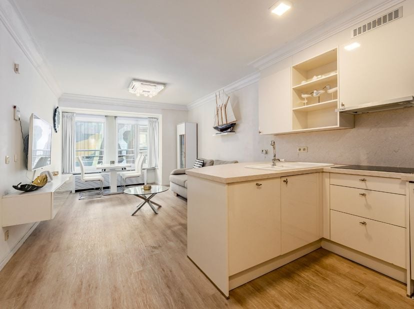 Appartement à louer à Vlaanderenstraat 21 boîte 0101,
                    8400 Oostende