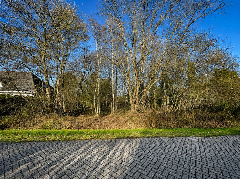 Grond voor open bebouwing in rustige, residentiële buurt.<br />
Bent u op zoek naar de ideale locatie om uw droomwoning te bouwen? Deze ruime bouwgron