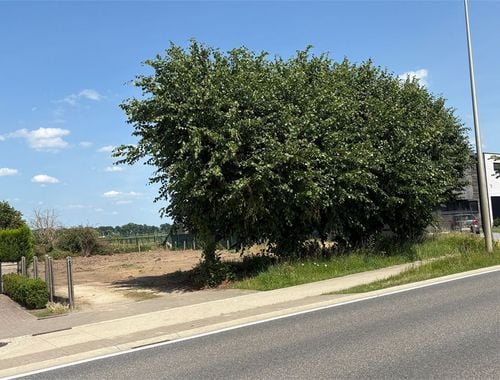                                         Terrain à bâtir à vendre à Bree, € 189.500

