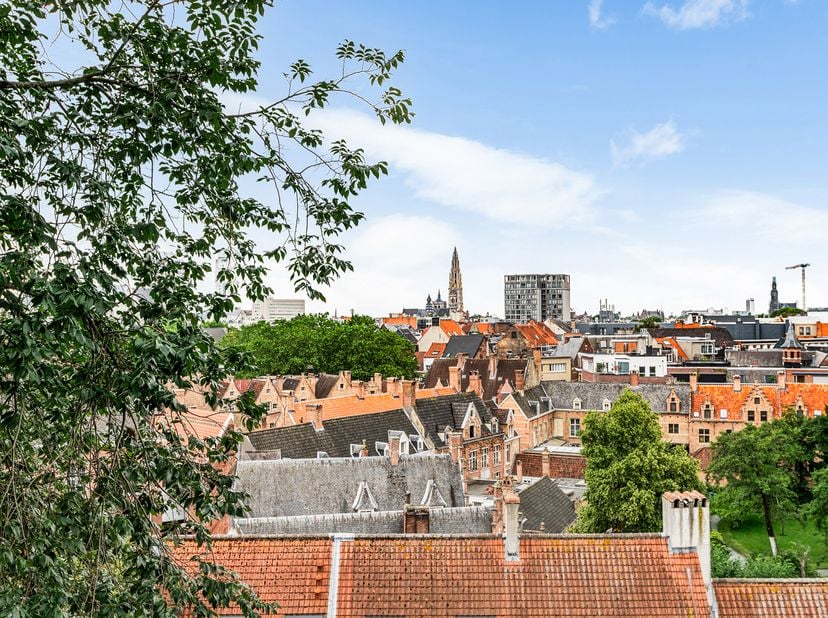 Op een uitstekende locatie aan de Italiëlei 98 bevindt zich deze aangename studio met een schitterend uitzicht over Antwerpen. Dankzij de grote raampa