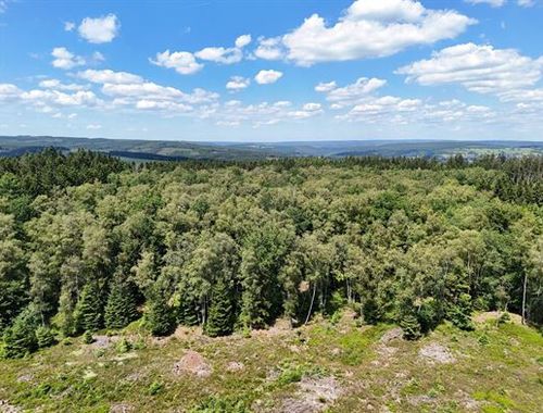                                         Bos te koop in Petit-Thier, € 205.000
