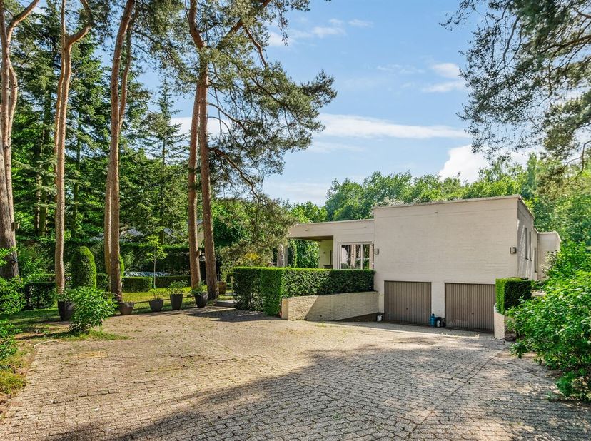 In de rustige en residentiële Berkenlaan te Waasmunster bevindt zich deze ruime laagbouwwoning uit de jaren 70, gelegen op een prachtig perceel van 1.