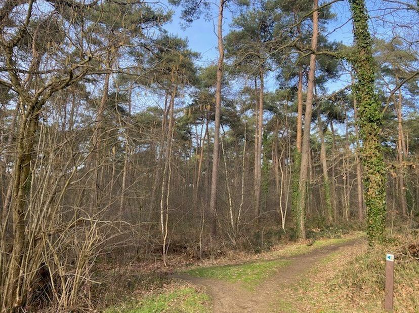 Terrain à vendre
                    à 3560 Lummen