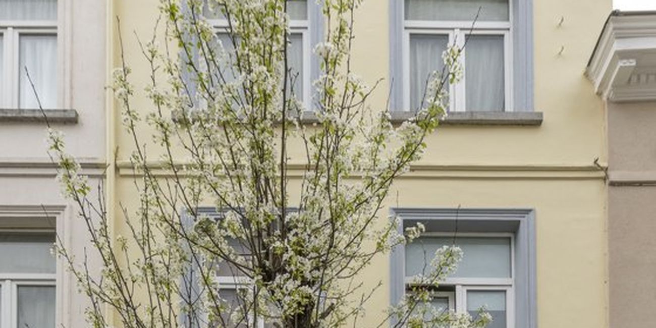 Ransfortstraat 23A