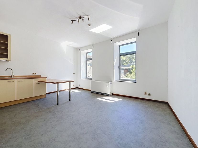 1er ÉTAGE de ±47m² : <br />
- Hall d'entrée de ±6m² sur vinyle avec WC indépendant,<br />
- Séjour de ± 22m² sur vinyle avec cuisine ouverte (avec meu
