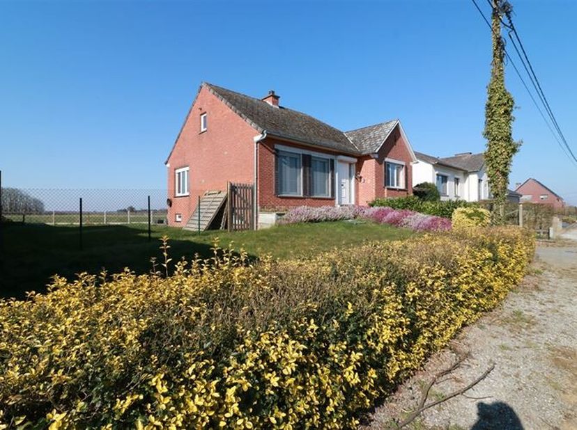 Deze verrassend ruime woning combineert rust, groen en een uitstekende bereikbaarheid. Gelegen in de Statiestraat te Tielt-Winge, vlak bij het Gouden