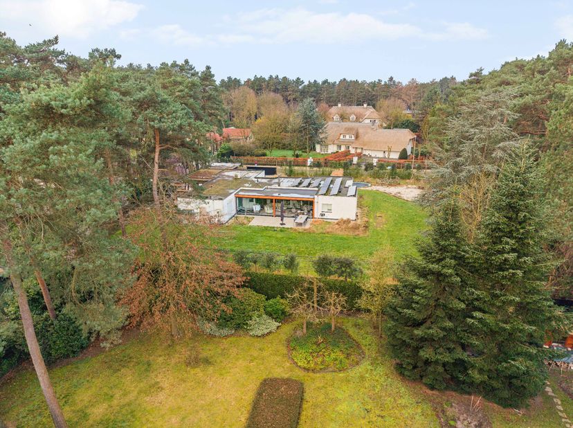 In de residentiële villawijk Grote Heide te Pelt bevindt zich deze charmante gelijkvloerse woning op een perceel van 2.471 m². Dankzij haar aangename