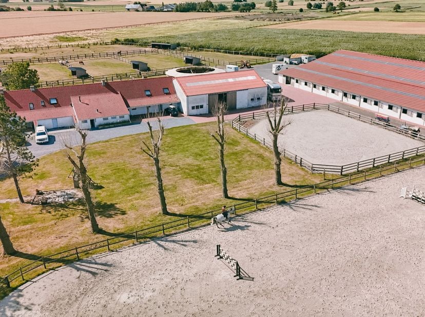 ALVERINGEM - Uniek gelegen professionele hippische eigendom <br />
Verscholen in het groen en bereikbaar via een lange privatieve oprijlaan bevindt zi